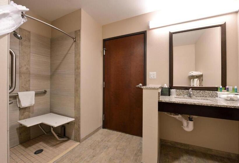 장애인을 위한 킹사이즈 침대 스탠다드 룸, Holiday Inn Express & Suites Williams, An Ihg