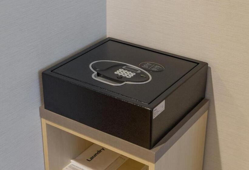 Номер Стандарт Трехместный, Jr Kyushu Hotel Blossom Hakata Central