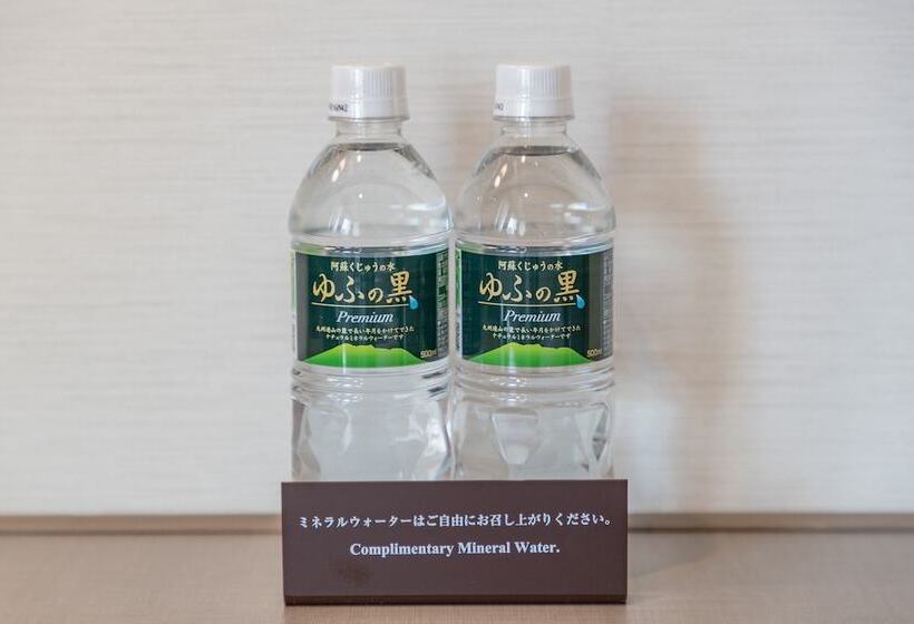 Номер Deluxe, Jr Kyushu Hotel Blossom Hakata Central