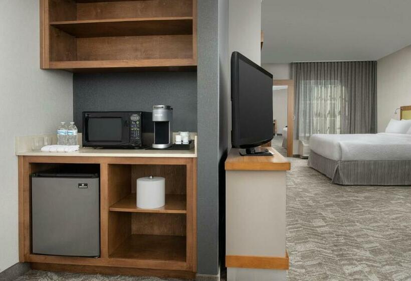 Студия Стандарт, Springhill Suites By Marriott Tuscaloosa