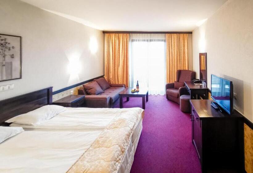 스탠다드 발코니 룸, Trinity Residence Bansko