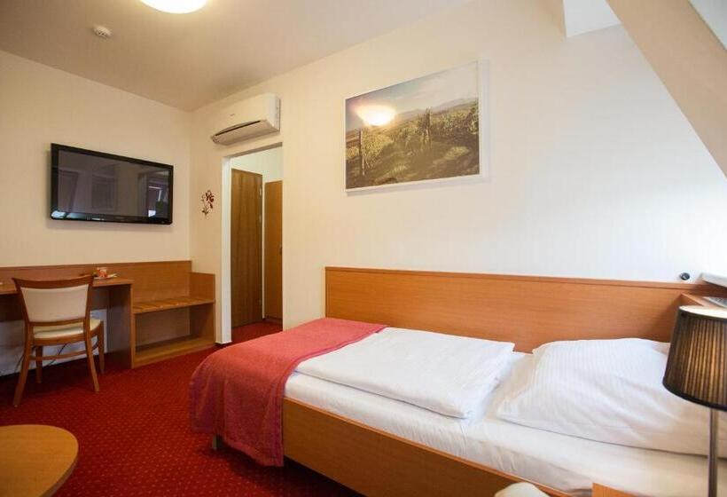 标准单人间, Wine Wellness Hotel Amande Hustopeče