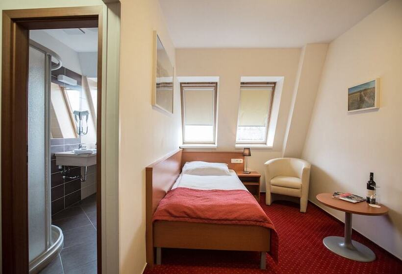 标准单人间, Wine Wellness Hotel Amande Hustopeče