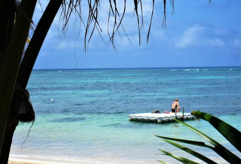 스위트, Little Corn Island Beach And Bungalow