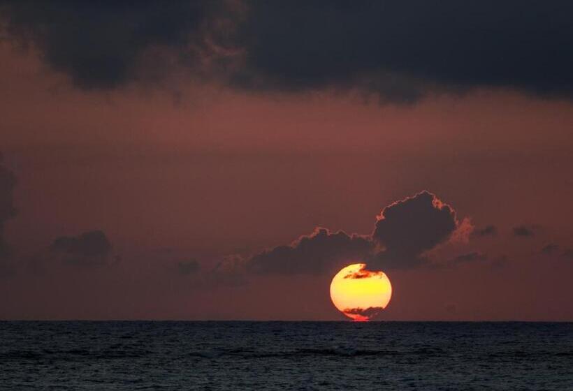 스탠다드 룸, Little Corn Island Beach And Bungalow