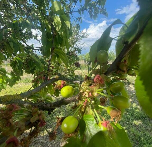 Дом 1 Спальня, Malamù Bnb Eventi