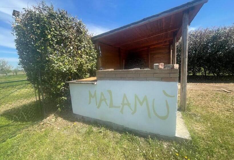 Номер Стандарт, Malamù Bnb Eventi