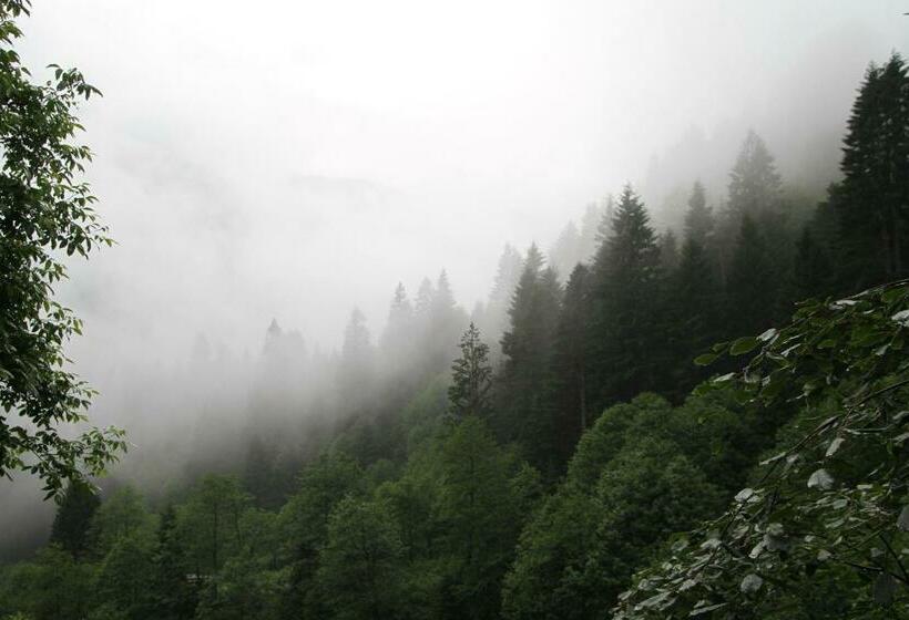 اتاق خانوادگی, Ayder İmamoğlu Apart Otel