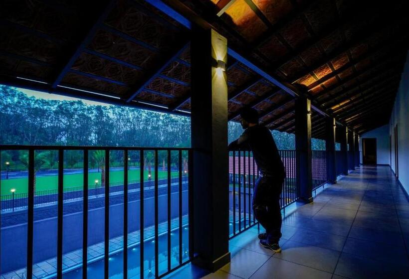 디럭스 룸 킹사이즈 침대, Fern Tree Resort