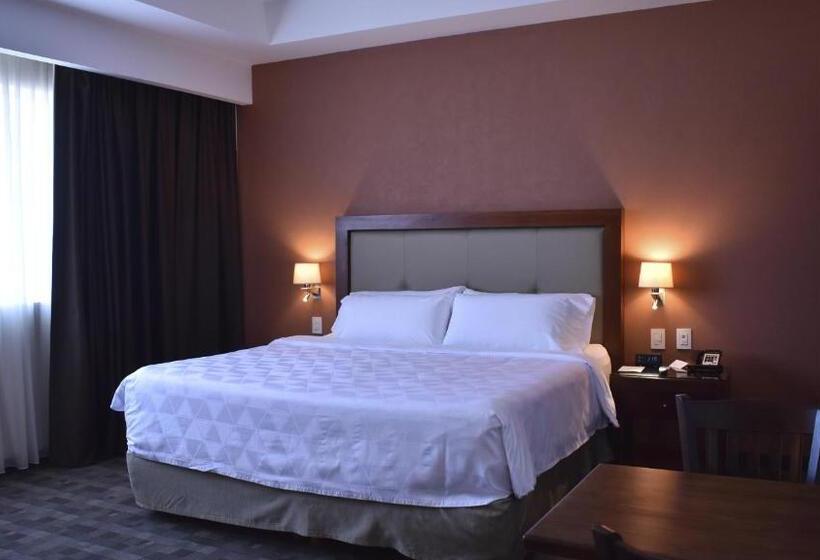 Quarto Estandar Cama King para Deficientes Físicos, Holiday Inn & Suites Plaza Mayor, An Ihg