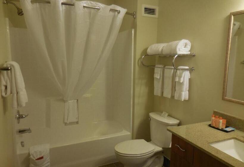 Номер Стандарт, Ledgestone Hotel Billings
