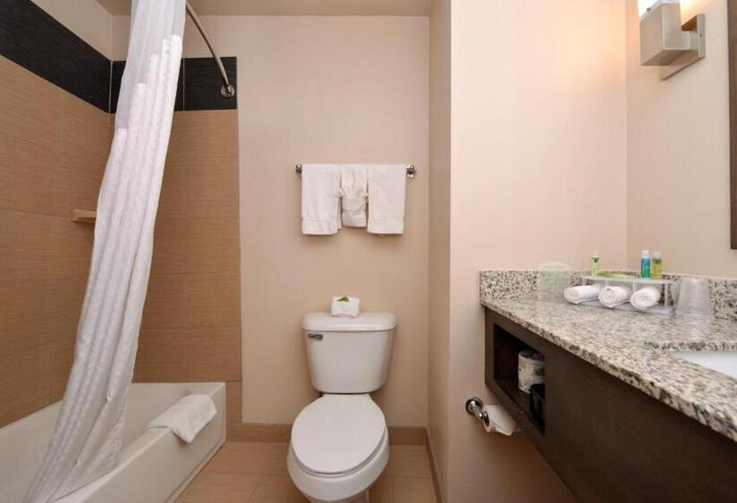 Номер Стандарт Адаптированный для Инвалидов, Holiday Inn Express & Suites Globe, An Ihg