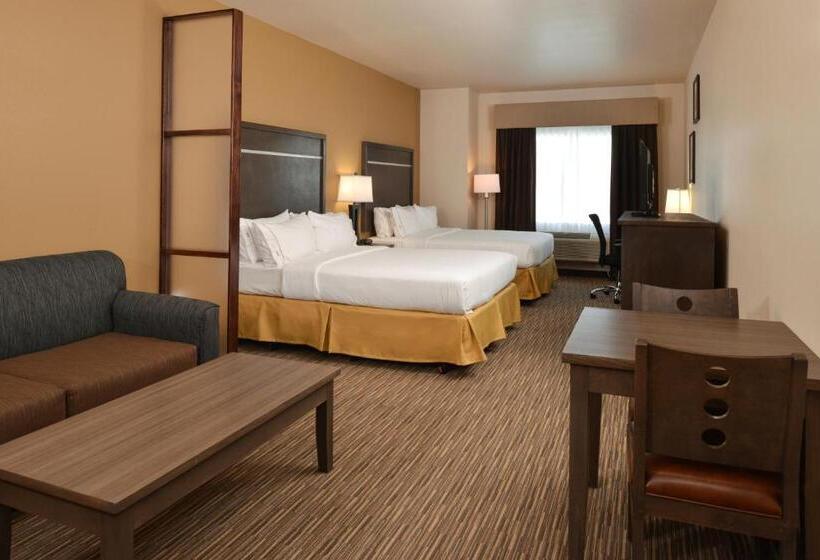 Suíte para Deficientes Físicos, Holiday Inn Express & Suites Globe, An Ihg