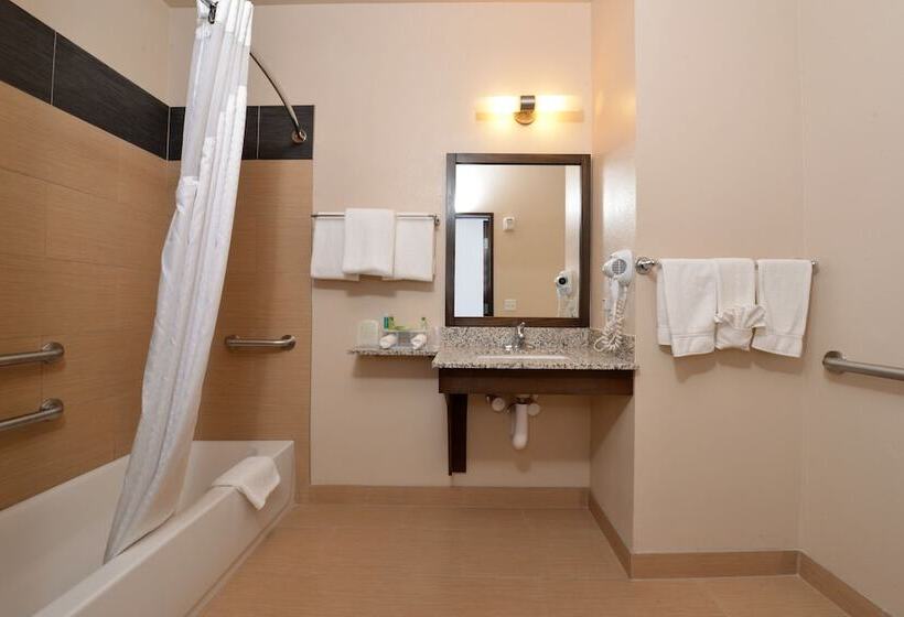 Suíte para Deficientes Físicos, Holiday Inn Express & Suites Globe, An Ihg