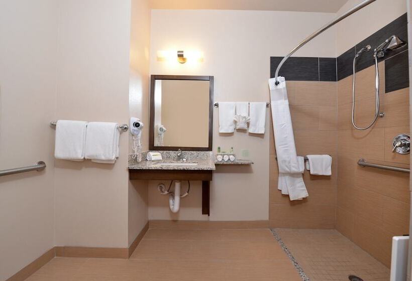 Suíte para Deficientes Físicos, Holiday Inn Express & Suites Globe, An Ihg