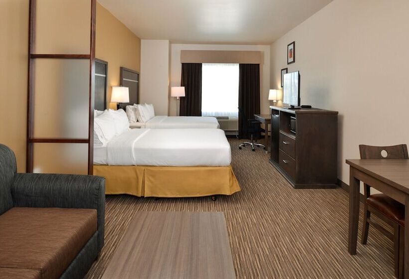 Люкс Адаптированный для Инвалидов, Holiday Inn Express & Suites Globe, An Ihg