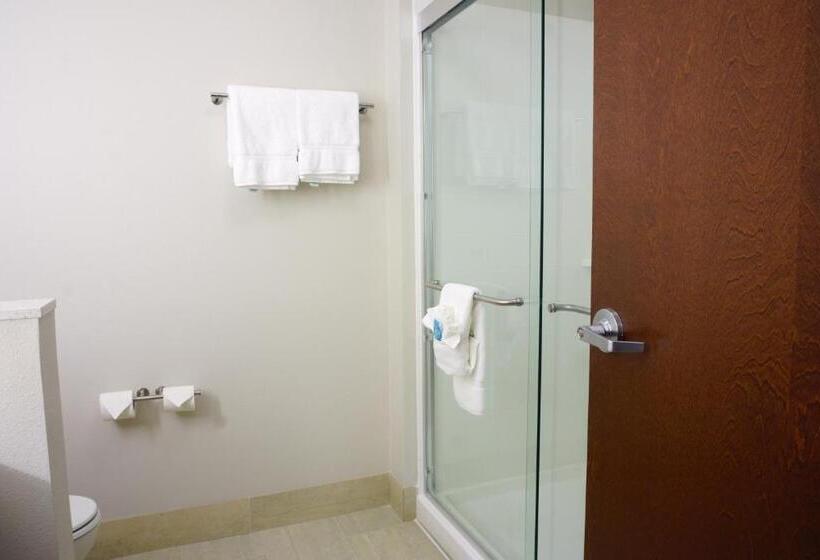 스탠다드 룸, Holiday Inn Express & Suites Omaha   Millard Area, An Ihg