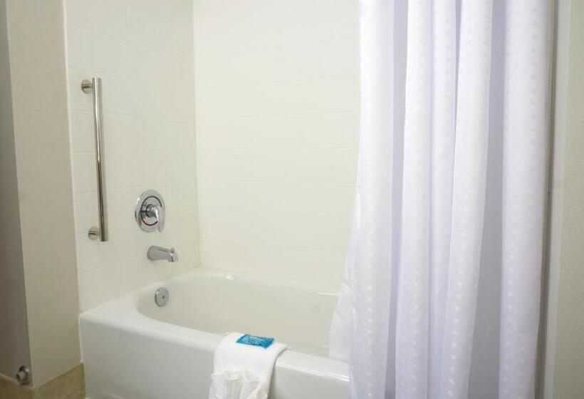 스위트, Holiday Inn Express & Suites Omaha   Millard Area, An Ihg