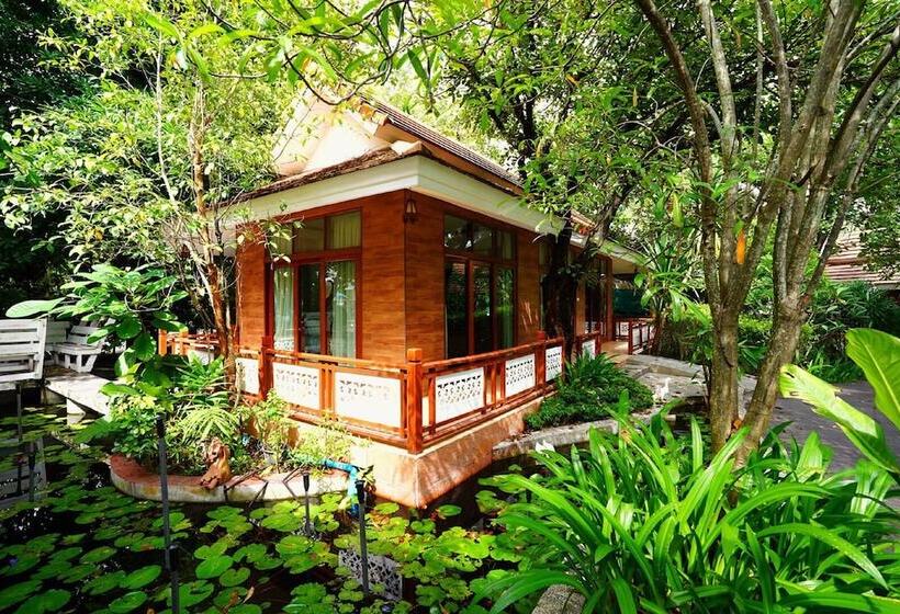 سوییت, Lubee Chiang Mai