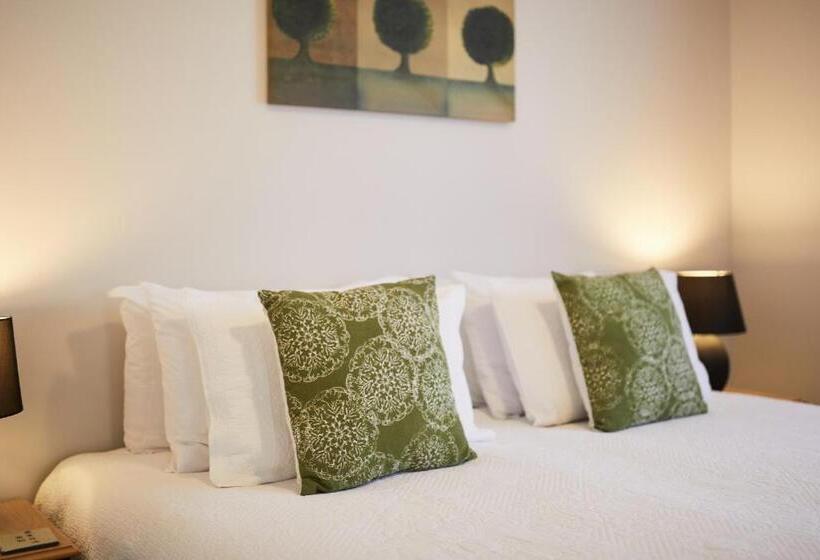 Студия Стандарт, Blenheim Palms Motel
