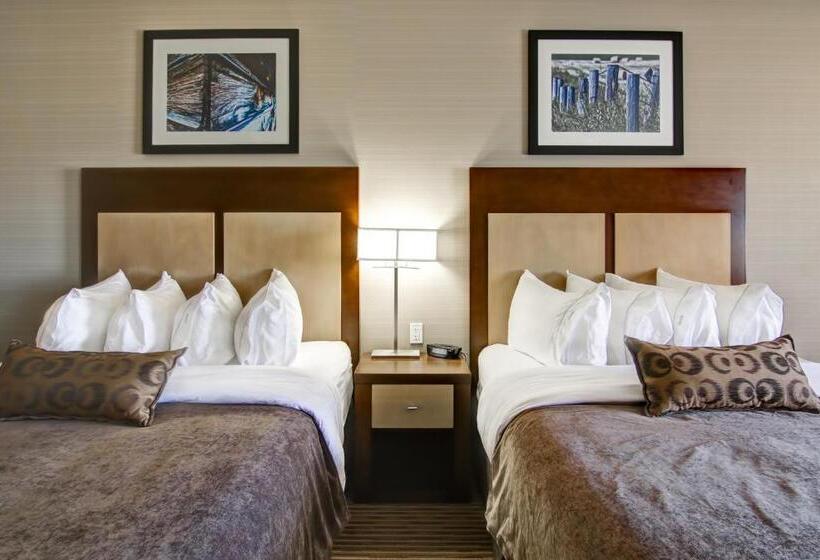 スタンダードルーム, Canalta Hotel Assiniboia