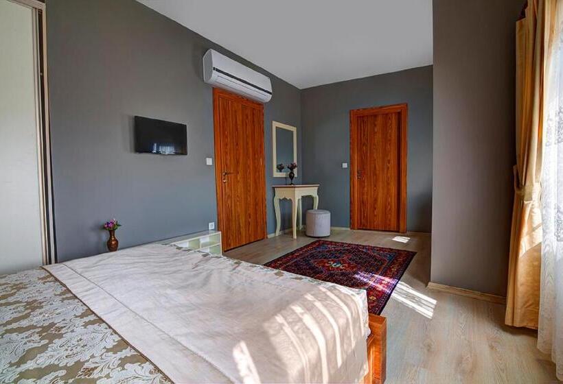 اتاق لوکس, Million Old City Apartment
