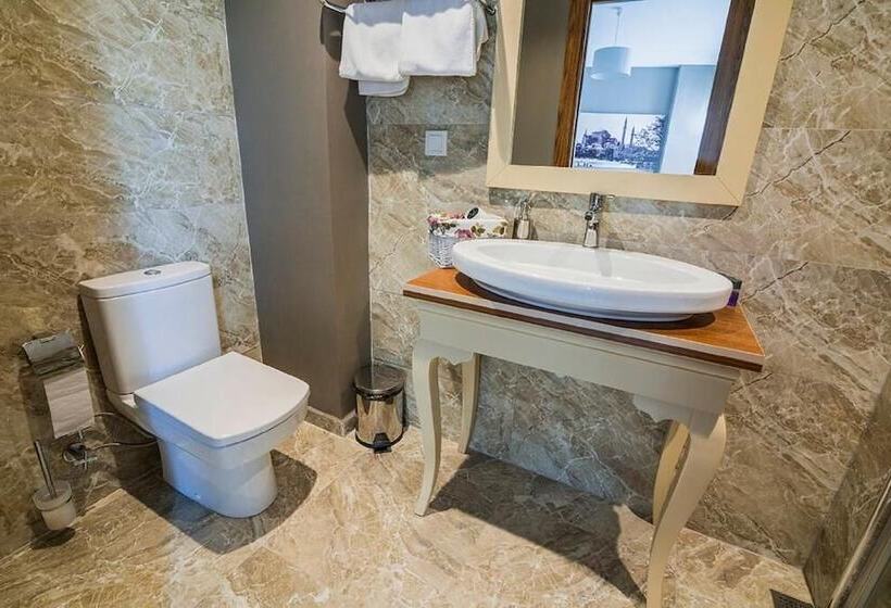 اتاق استاندارد, Million Old City Apartment