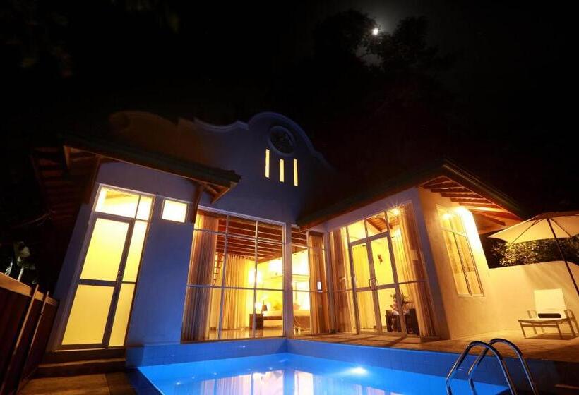 Люкс с Бассейном, Beach Grove Villas
