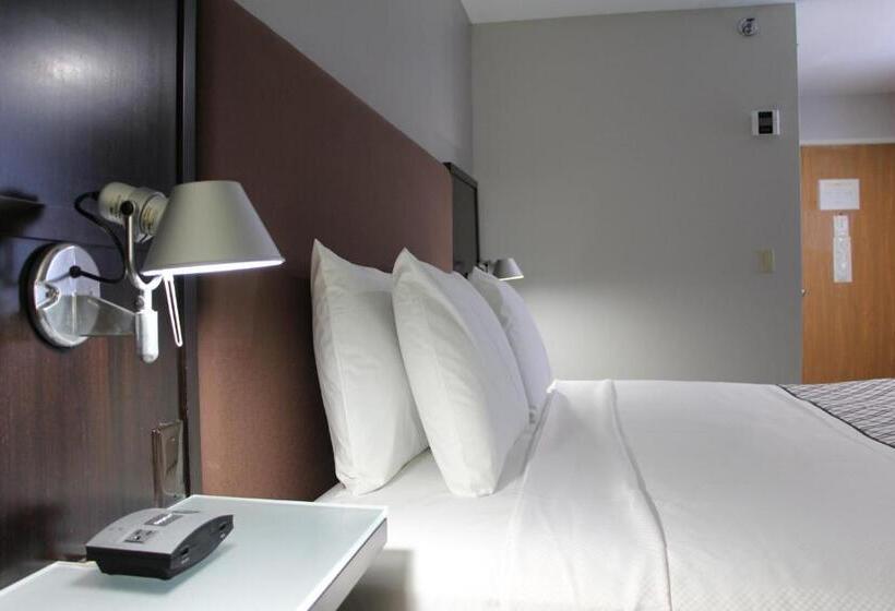 스탠다드 룸 킹사이즈 침대, Westbridge Inn & Suites