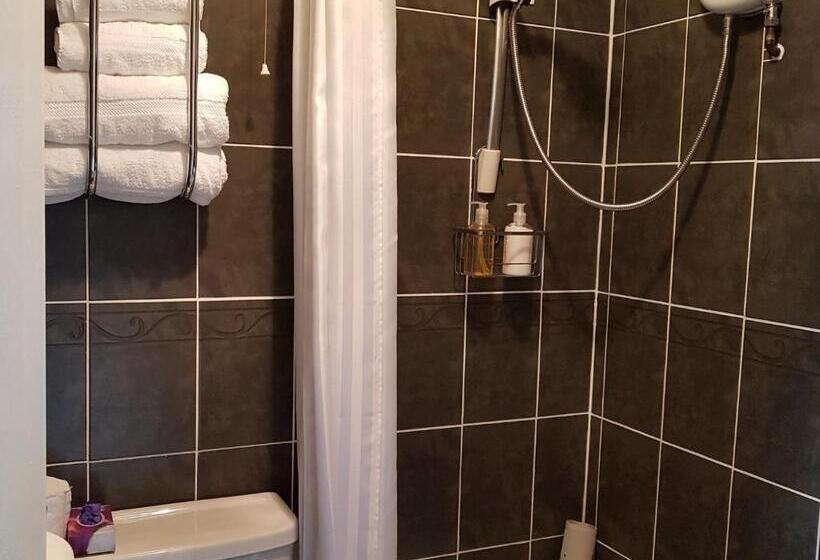 Номер Superior, Bronwye Guest House