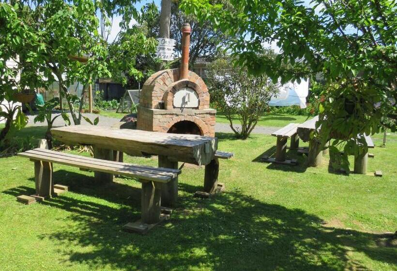 Номер Deluxe Одноместный, Braemar House B&b And Yha Hostel