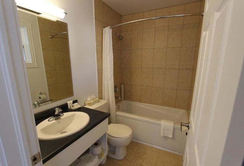Номер Deluxe, Stardust Motel  Bedford