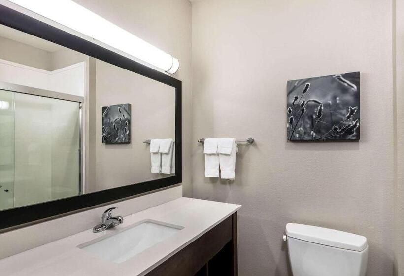 Люкс Кровать Кинг, La Quinta By Wyndham Claremore