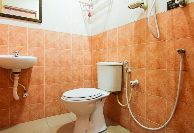 Номер Стандарт, Oyo 11343  Putra Iskandar