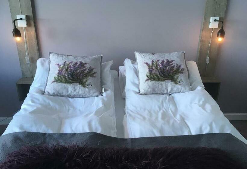 身障者適用スタンダードルーム, Værlandet Havhotell