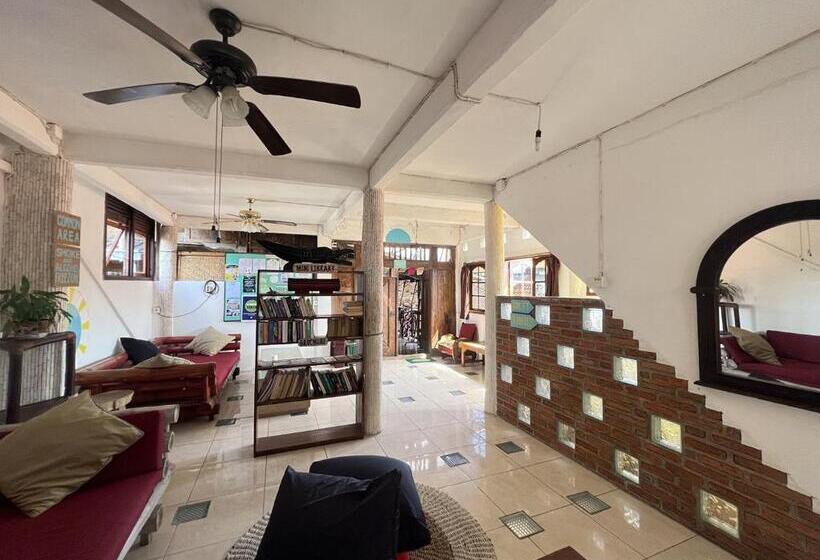 Кровать в Общей Комнате, Seabreeze Hostel Bali