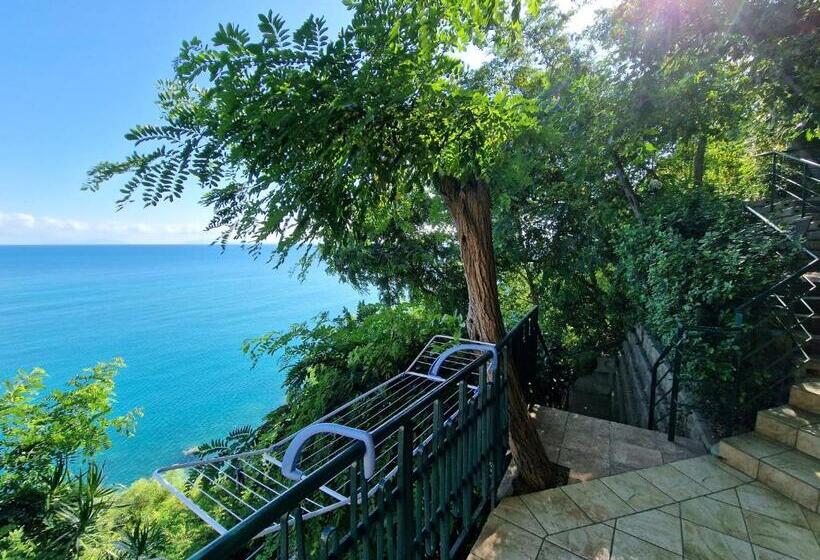استودیوی استاندارد, Villa Anita Residence