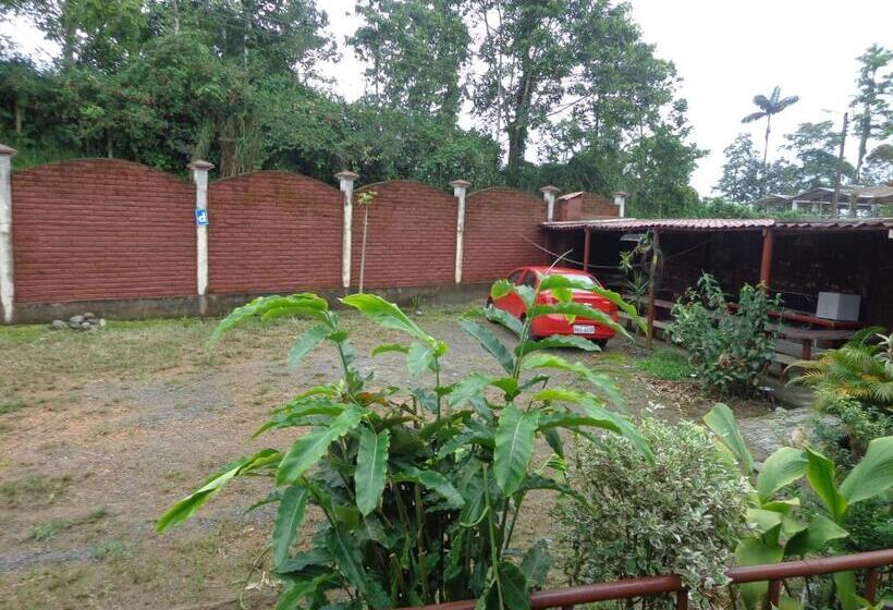 디럭스 룸, Flor Del Campo