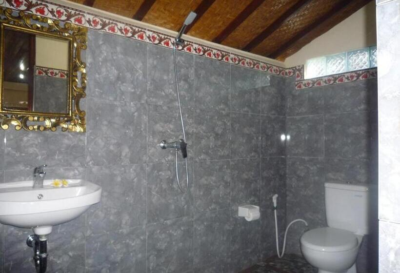 Номер Стандарт, Shindu Home Stay