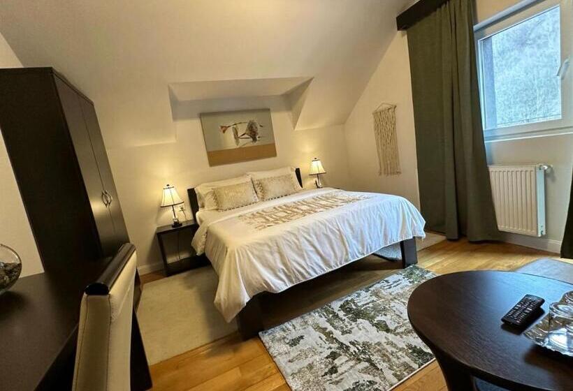 اتاق استاندارد, Vila Roca Hotel And Spa