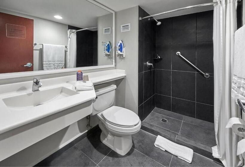 اتاق استاندارد با 2 تخت دوبل, City Express By Marriott San Luis Potosi Zona Industrial