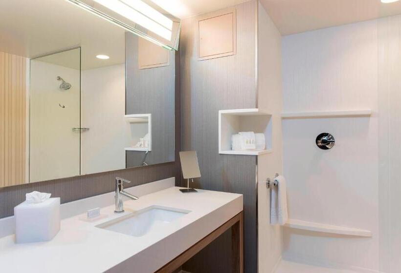 Номер Стандарт, Courtyard By Marriott Holland Downtown