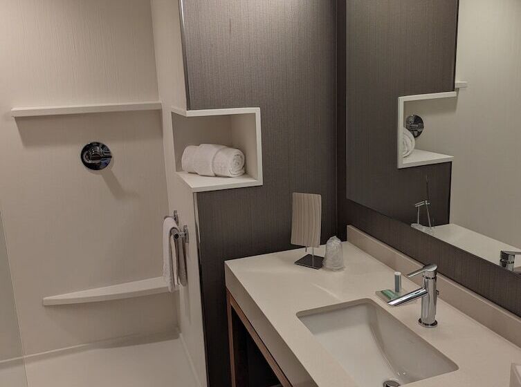 Номер Стандарт с Балконом, Courtyard By Marriott Holland Downtown