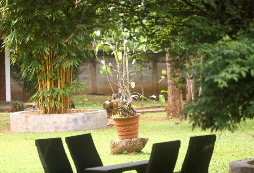 اتاق لوکس با چشم‌انداز باغ, The Mastodon Valley Safari Resort