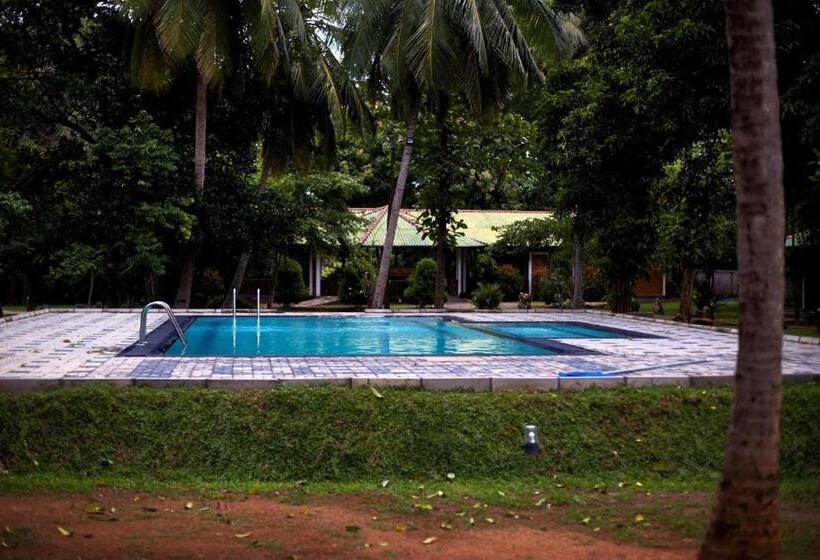 اتاق لوکس, The Mastodon Valley Safari Resort