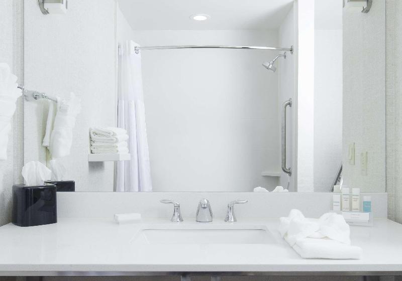 Номер Премиум, Hilton Garden Inn Longview
