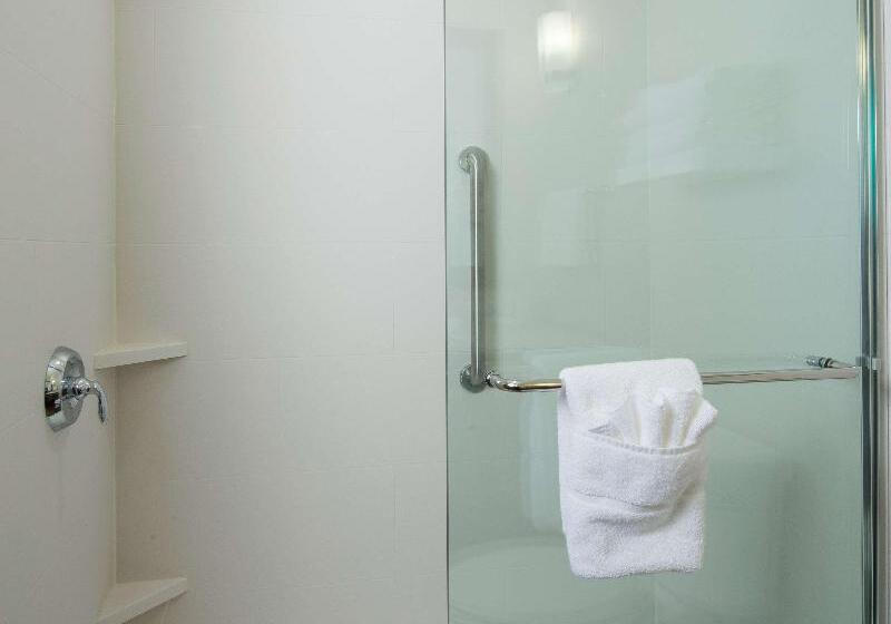 Номер Премиум, Hilton Garden Inn Longview