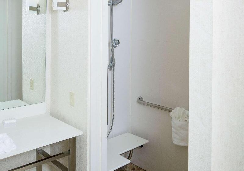Стандартный Номер Кровать Кинг, Hilton Garden Inn Longview