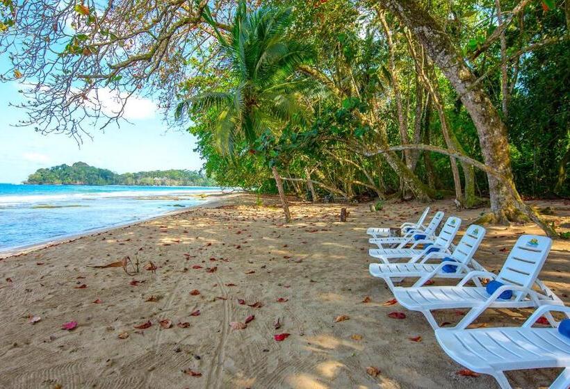 بانگلوی استاندارد 2 خوابه, Dragonfly Beachfront Villas Adult Only