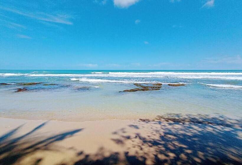 آپارتمان 1 خوابه با چشم‌انداز دریا, Dragonfly Beachfront Villas Adult Only